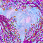 sold Summer's New Moon